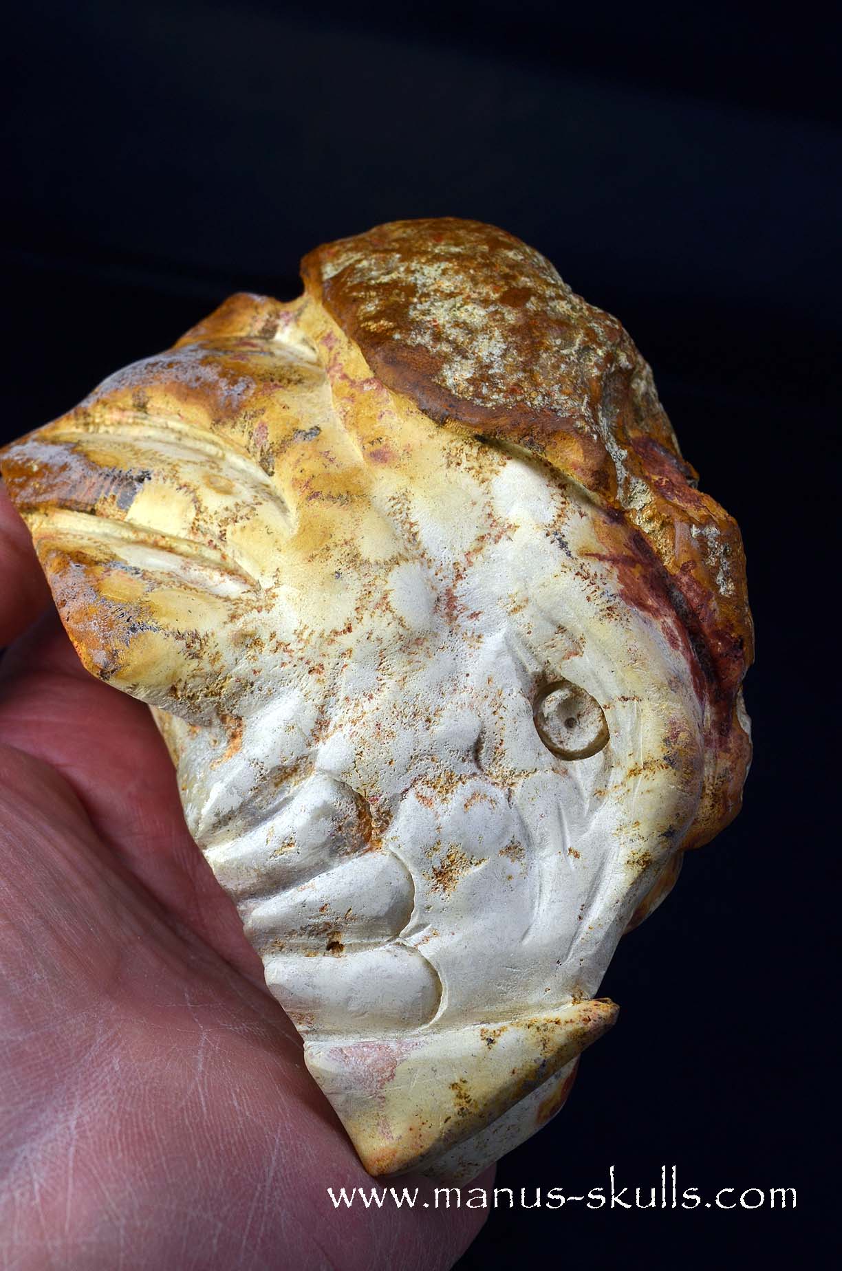 Petrified Coral Dragon