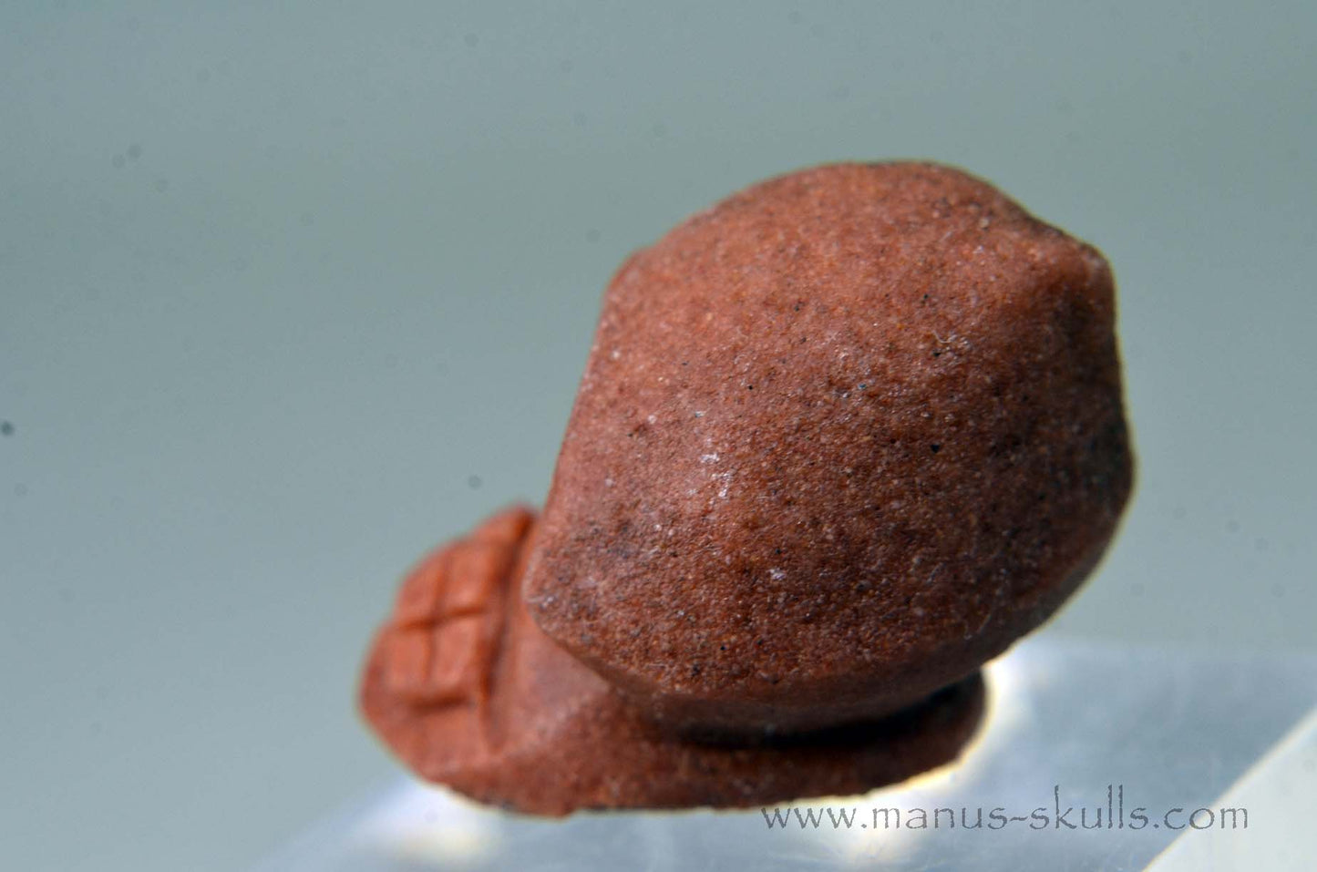Oncolite EVOLIAN #08 (2025)