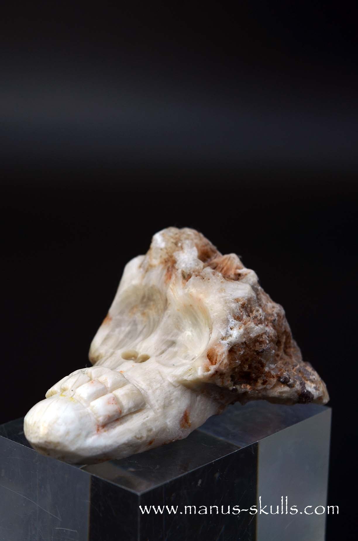 Manus skulls unique Crystal Carvings handmade skulls dragons pendants preseli bluestone tribals spiritual meaning wand Unicorn .. scolecite evolian 2025