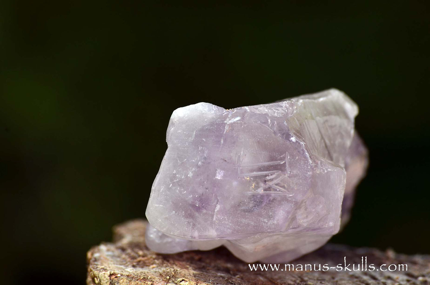 Phantom Amethyst Tribal Skull face
