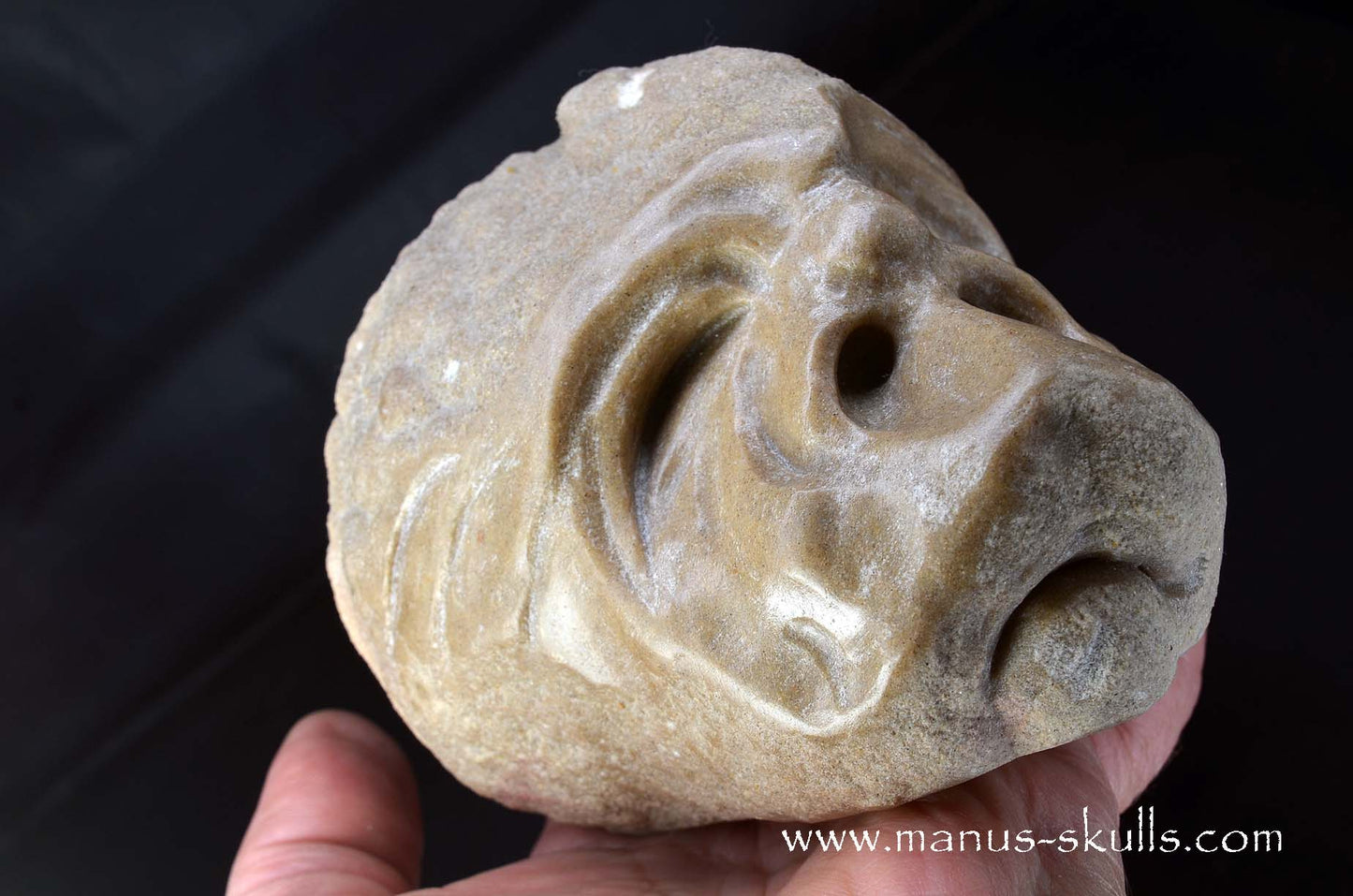 Large Stromatolite ~ Oncolite Character Skull