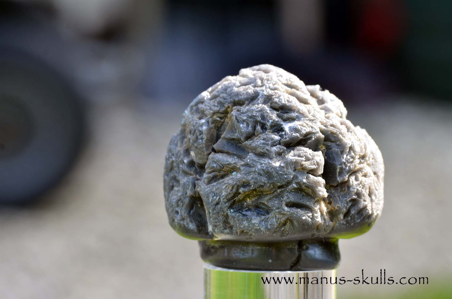 Agni Manitite Evolian #07