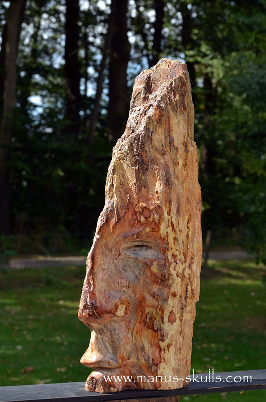 Manus skulls unique Crystal Carvings handmade skulls dragons pendants preseli bluestone tribals spiritual meaning wand Unicorn ..  petrified wood