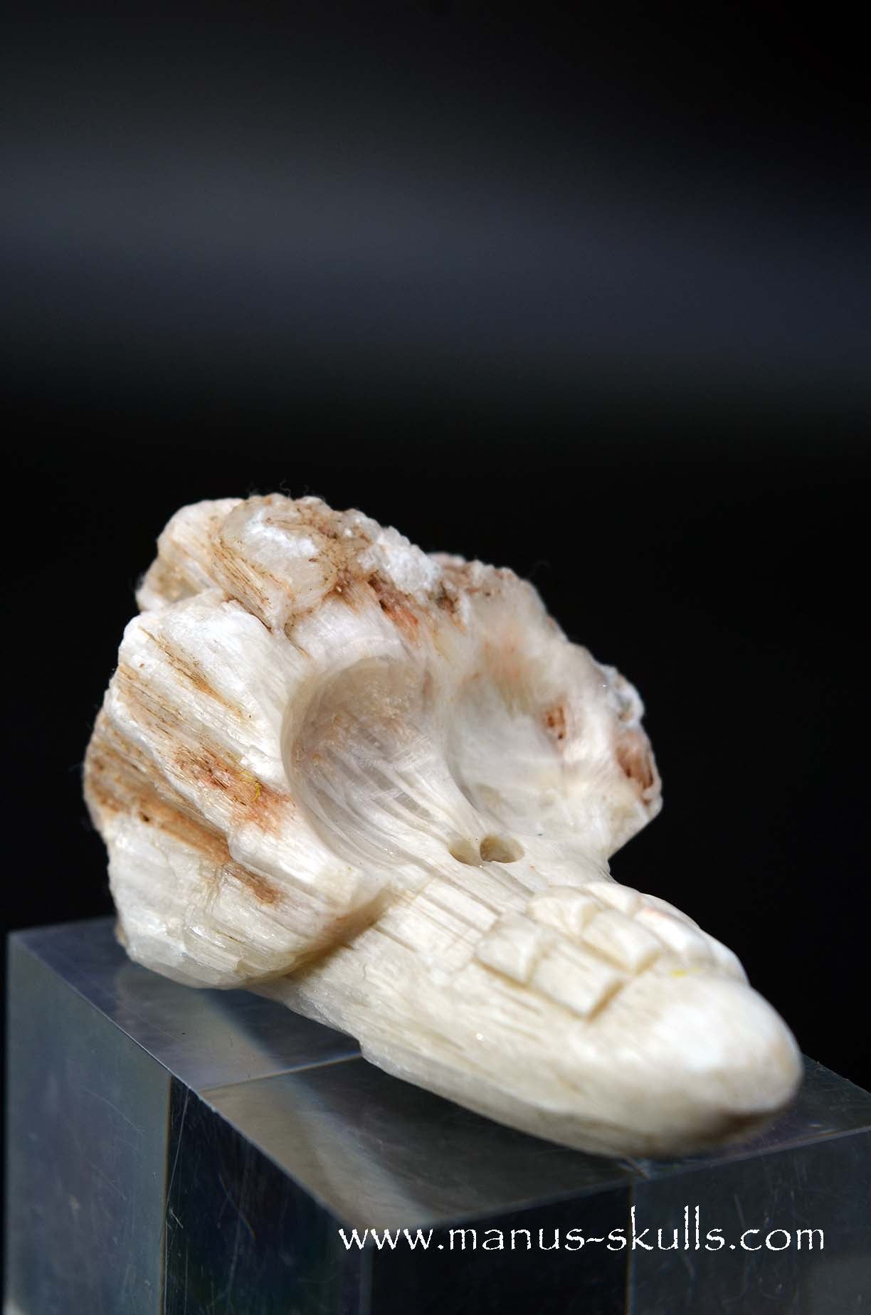 Scolecite Evolian Skull #07