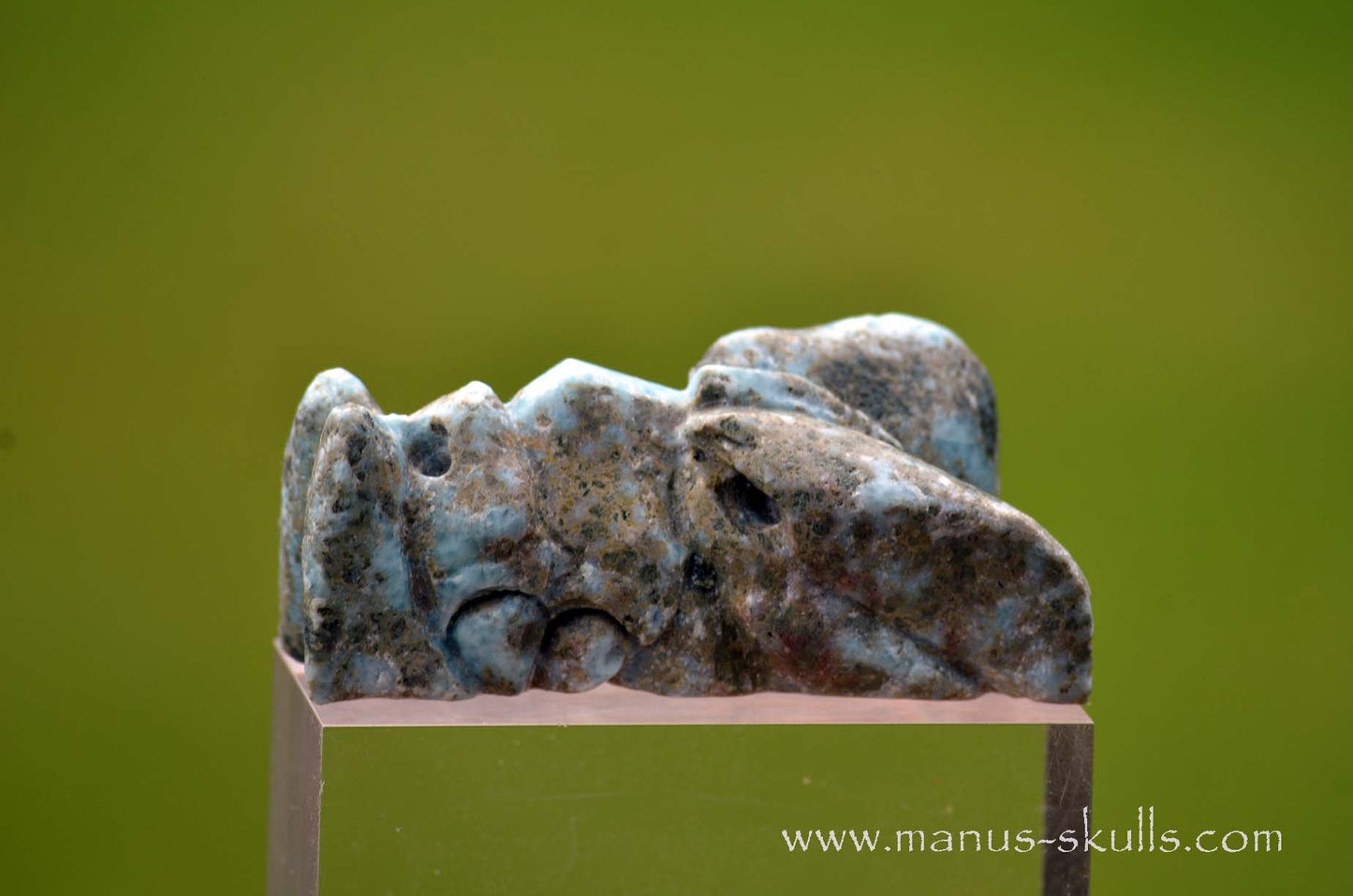 Larimar Dragon