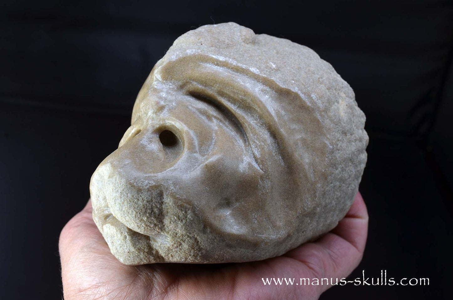 Large Stromatolite ~ Oncolite Character Skull