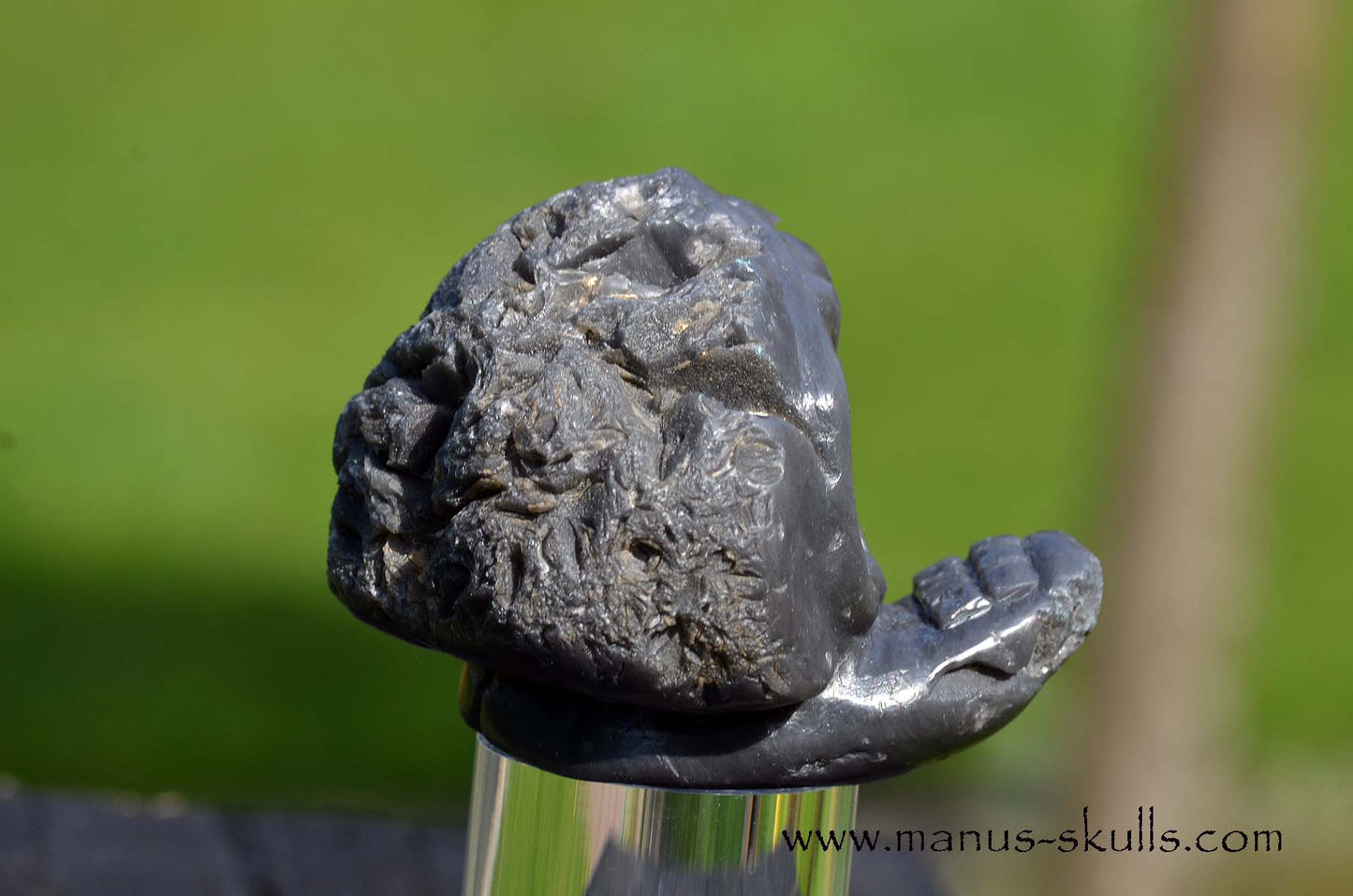 Agni Manitite Evolian #07