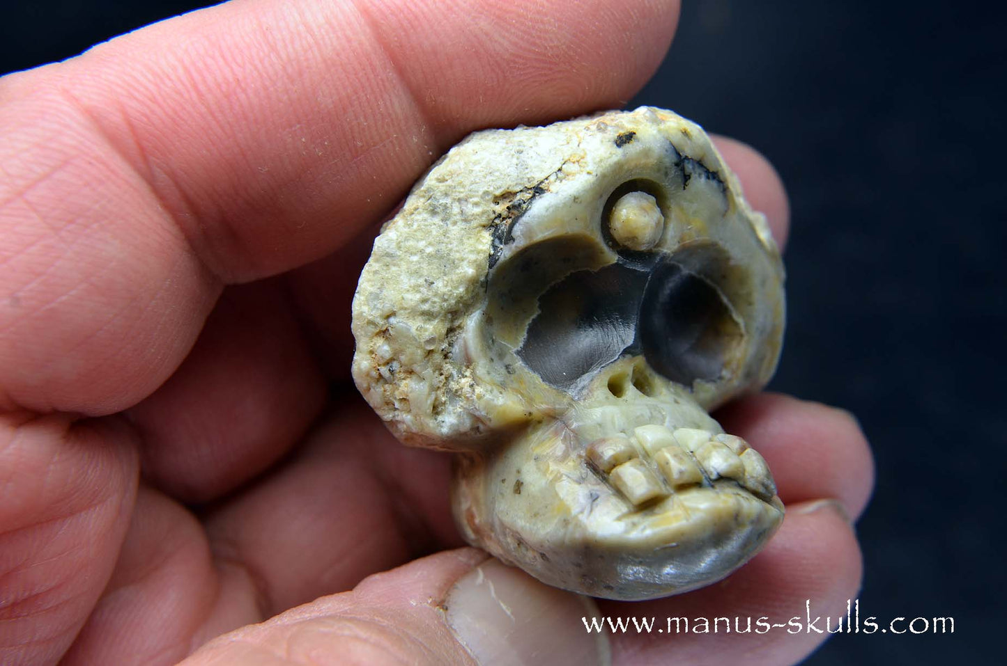 TNT-bed Thunderegg Evolian #06
