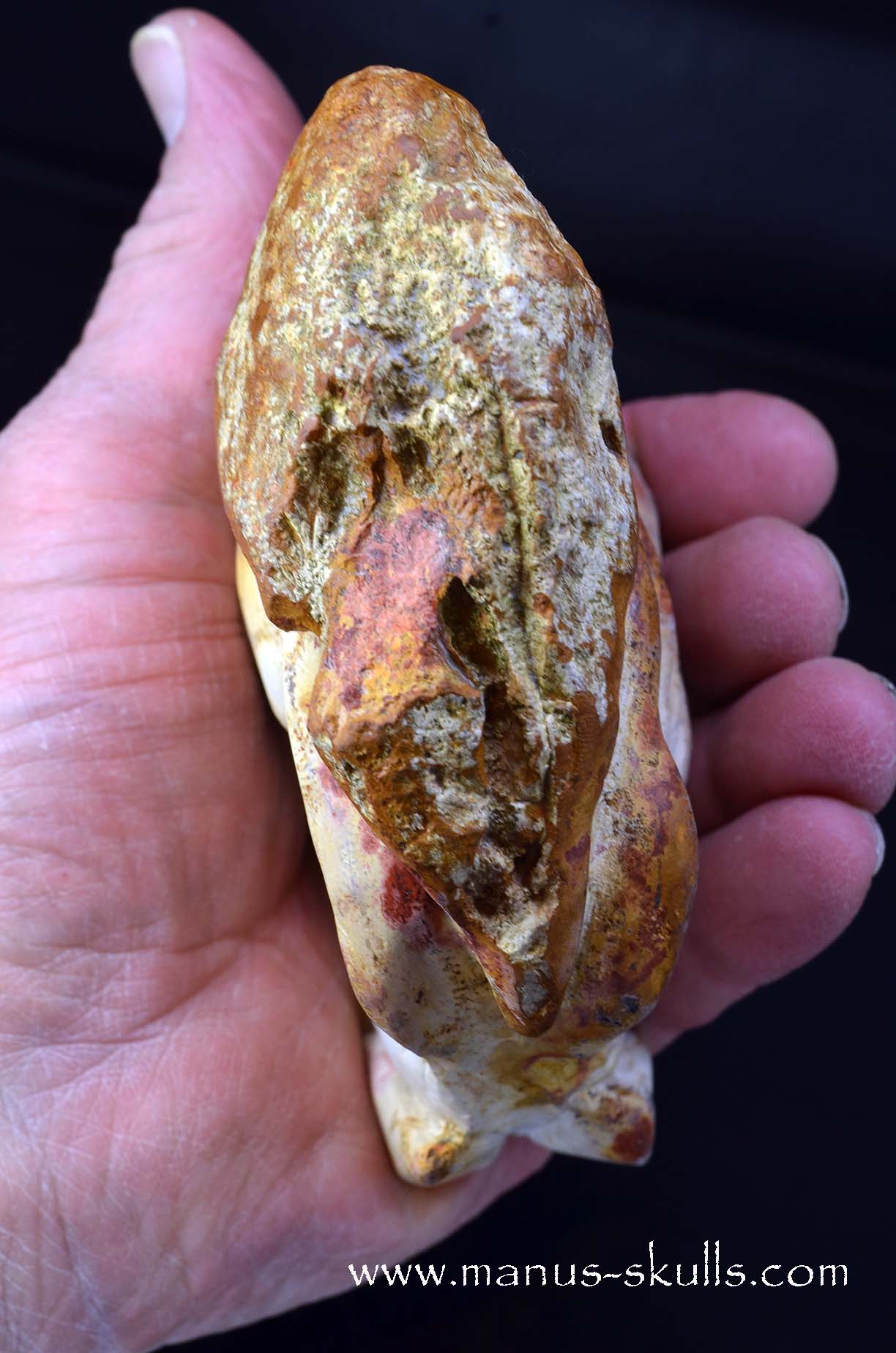 Petrified Coral Dragon