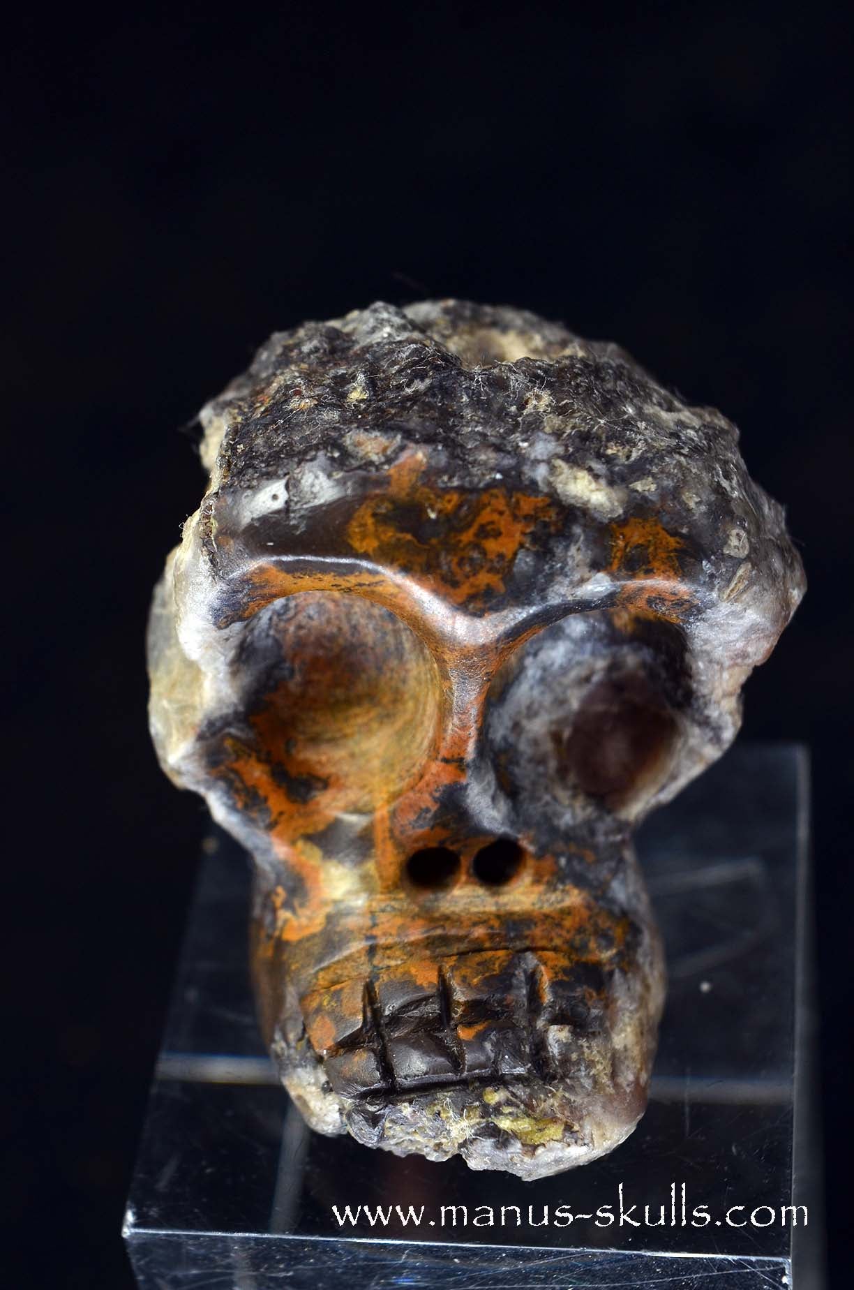 Agate Geode Evolian #08