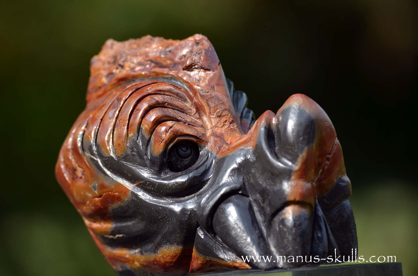 Rainbow Jasper Dragon
