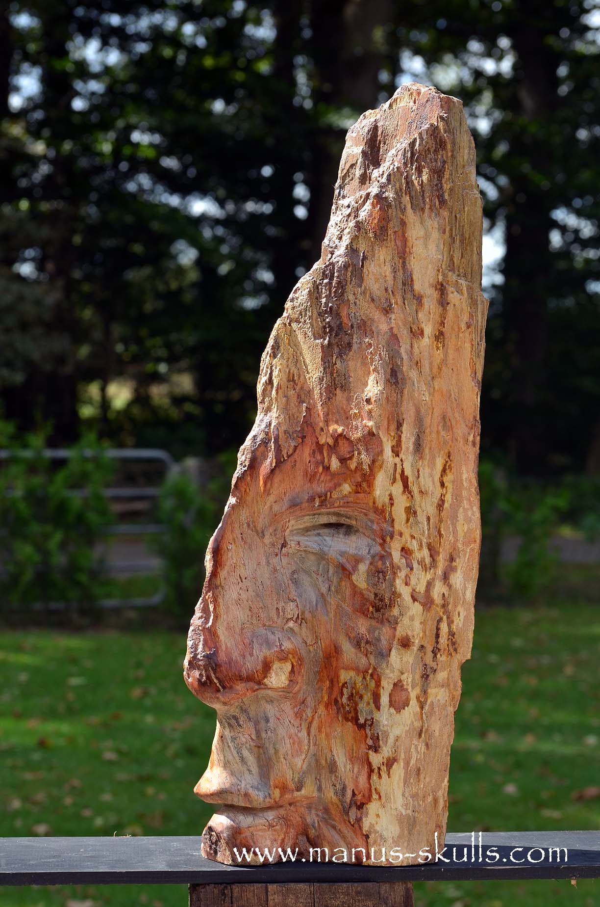 Petrified Wood Tribal Skull #67