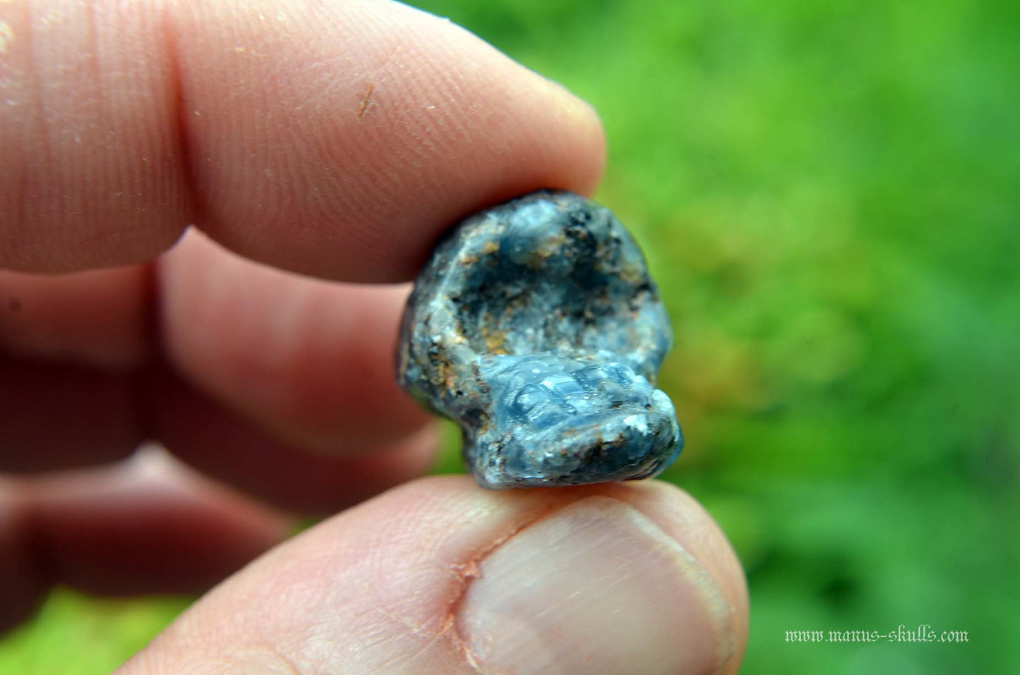 Blue Sapphire Evolian #06