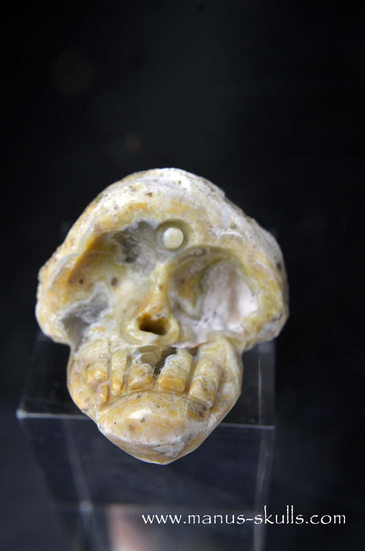 Manus skulls unique Crystal Carvings handmade skulls dragons pendants preseli bluestone tribals spiritual meaning wand Unicorn .. TNT bed   Lithophyse   Thunderegg