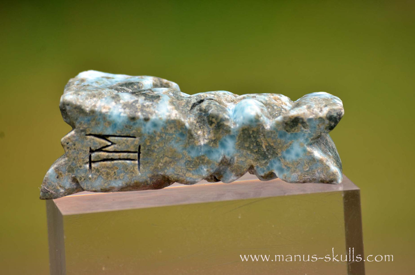 Larimar Dragon