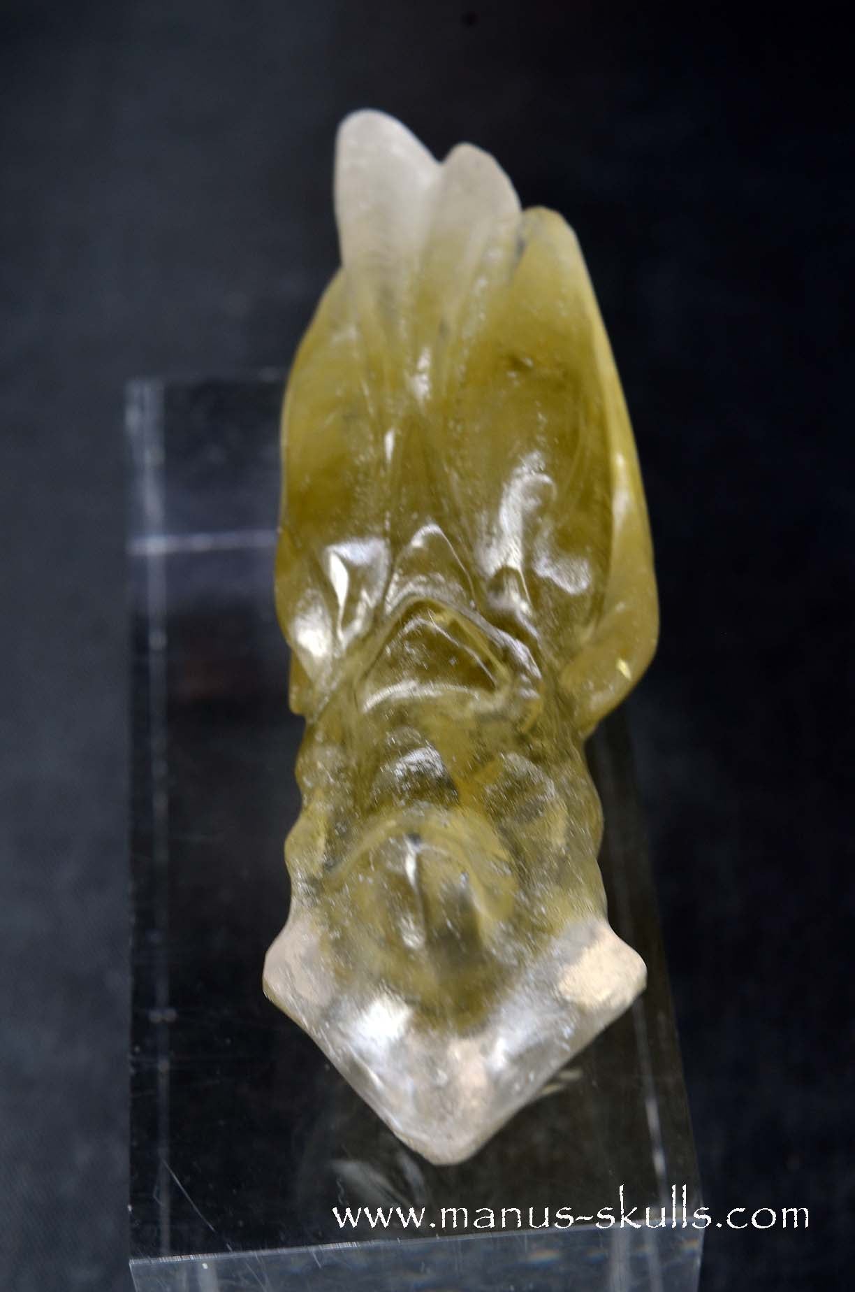 Manus skulls unique Crystal Carvings handmade skulls dragons pendants preseli bluestone tribals spiritual meaning wand Unicorn ..
citrine