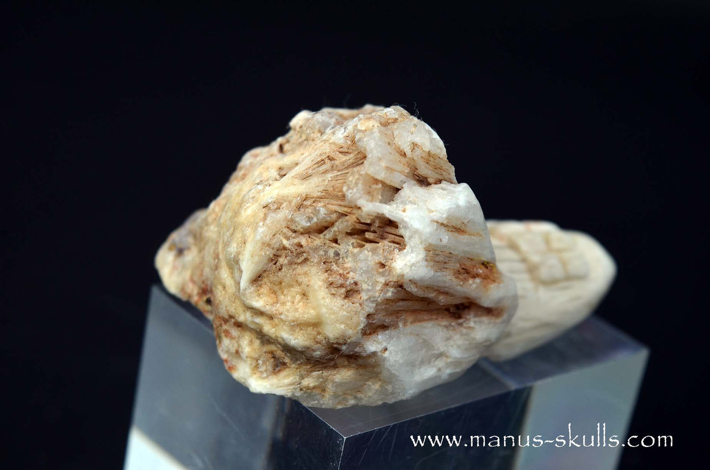 Scolecite Evolian Skull #07