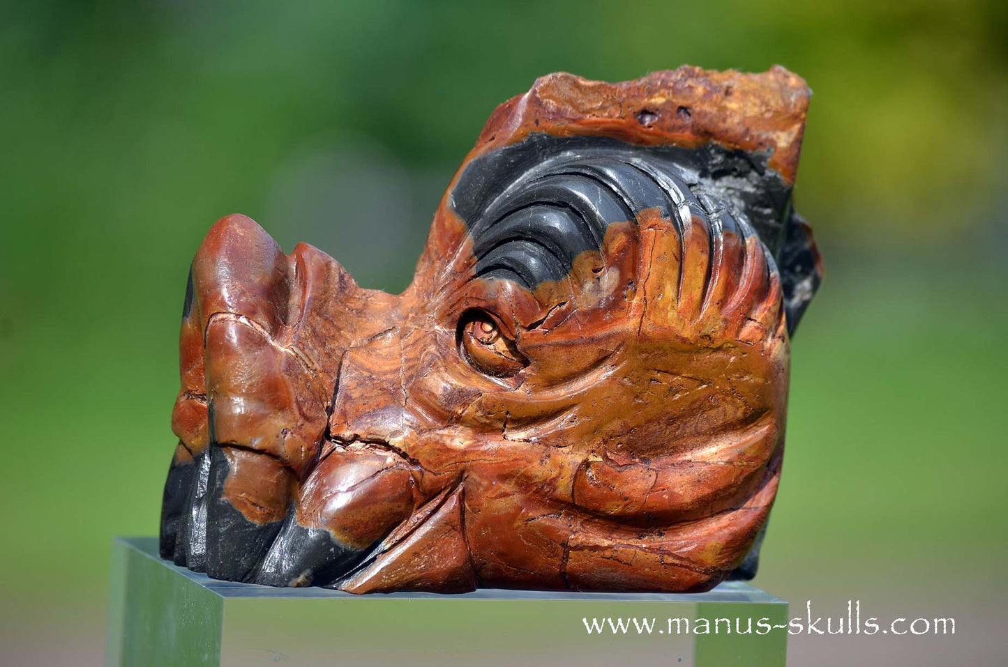 Rainbow Jasper Dragon