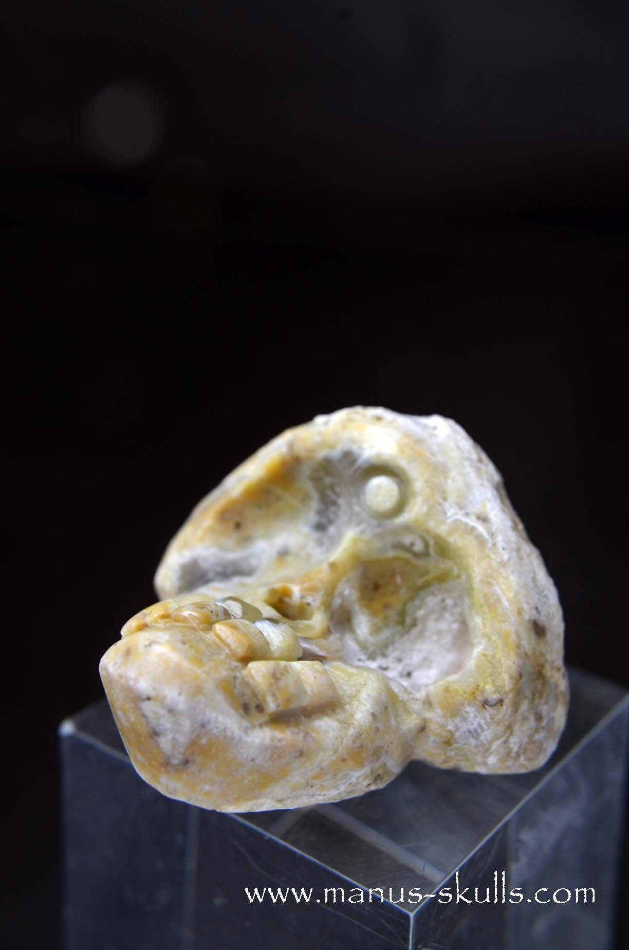 Manus skulls unique Crystal Carvings handmade skulls dragons pendants preseli bluestone tribals spiritual meaning wand Unicorn .. TNT bed   Lithophyse   Thunderegg