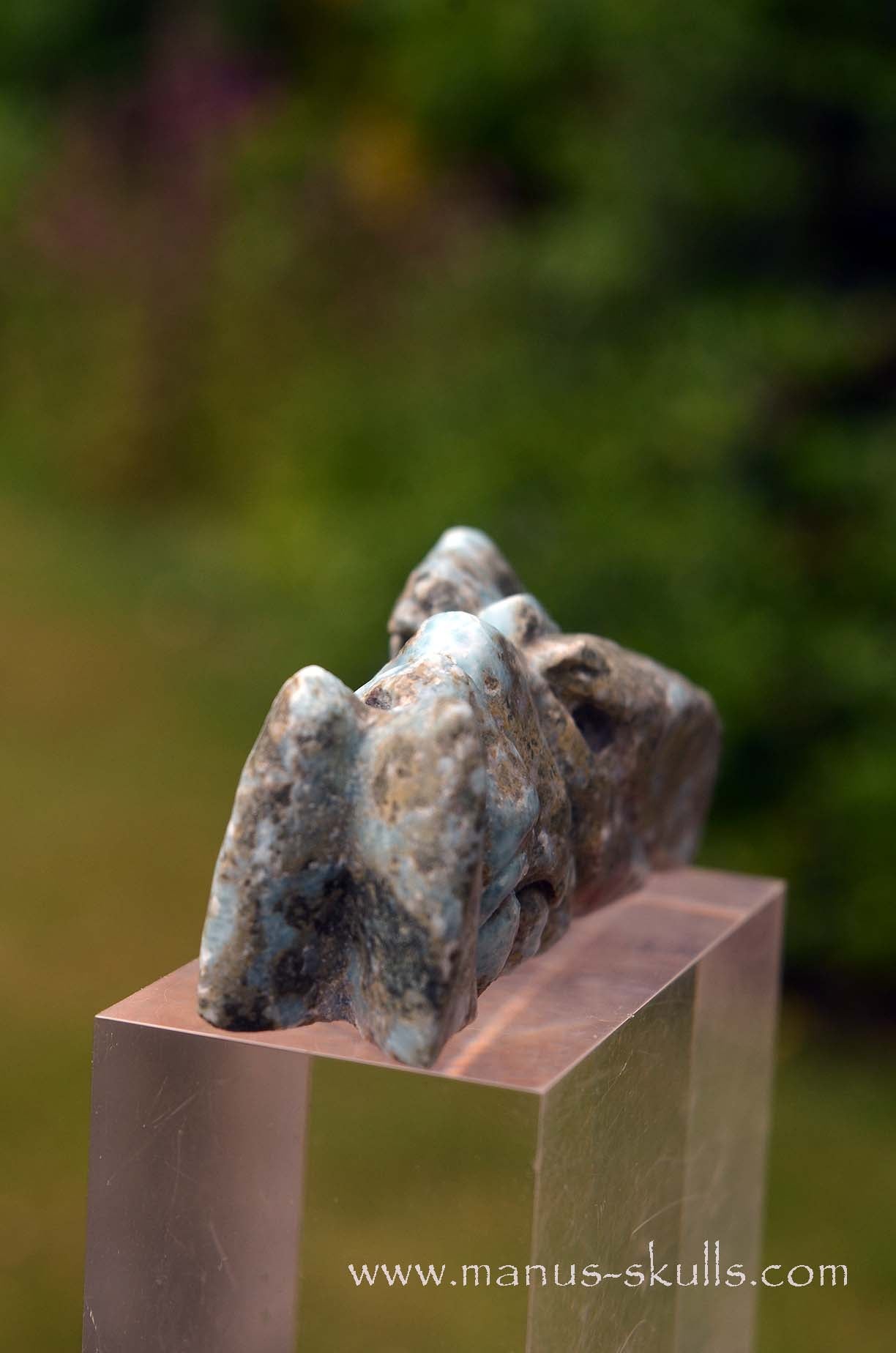 Larimar Dragon