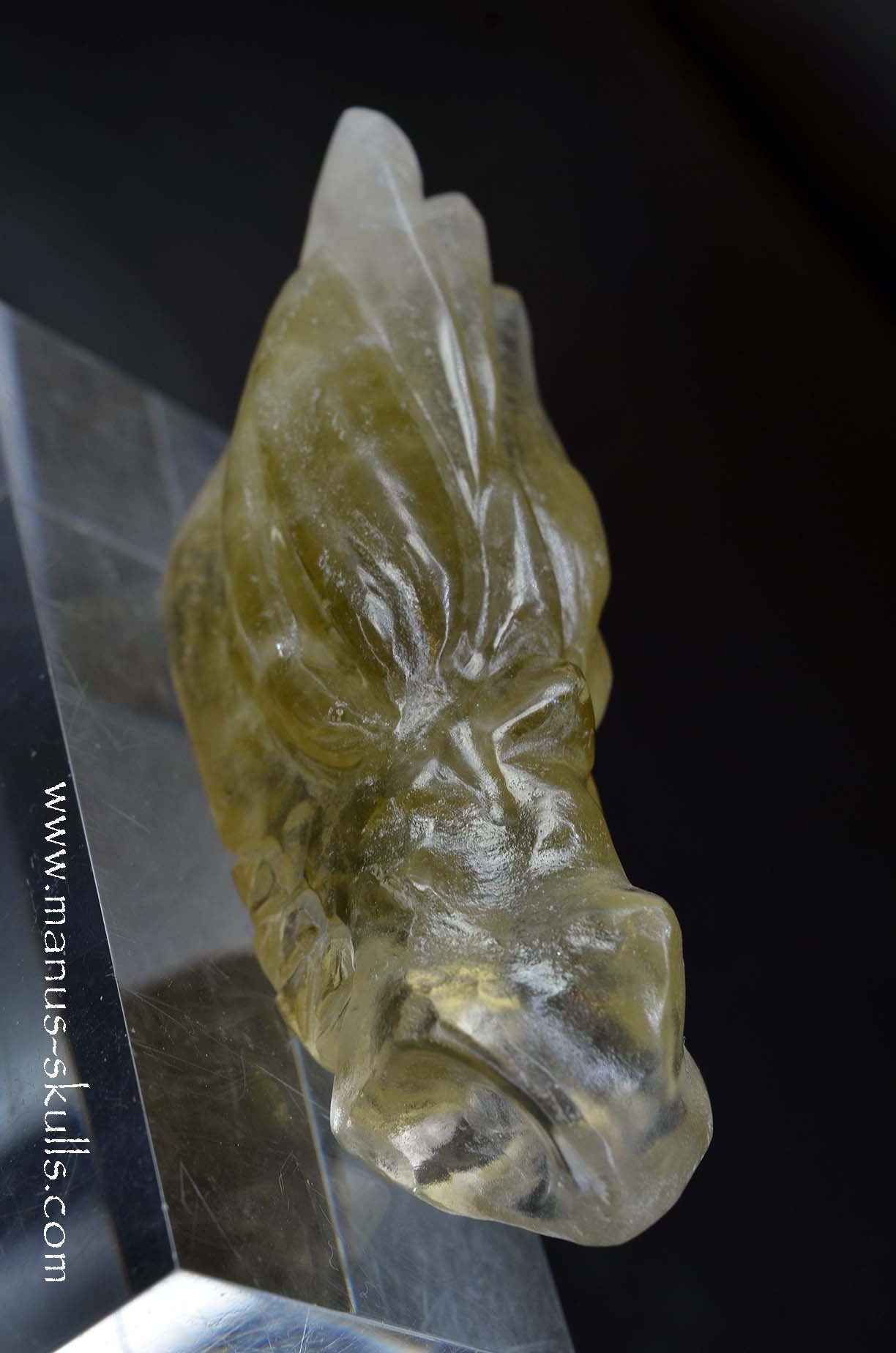 Alt Tekst foto’s:
Manus skulls unique Crystal Carvings handmade skulls dragons pendants preseli bluestone tribals spiritual meaning wand Unicorn ..
citrine