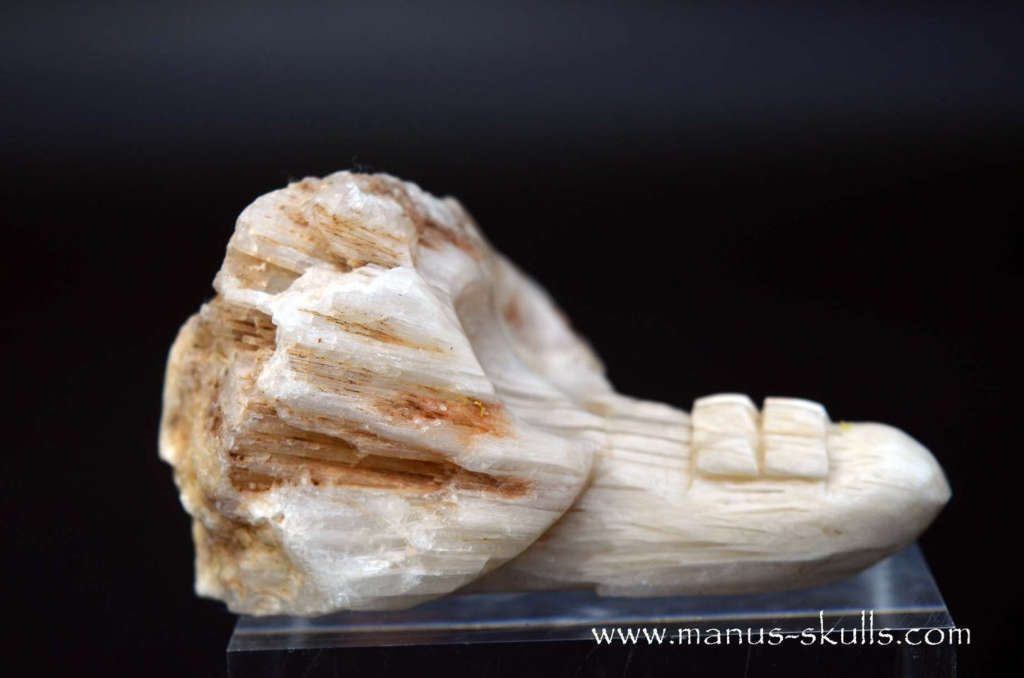 Scolecite Evolian Skull #07