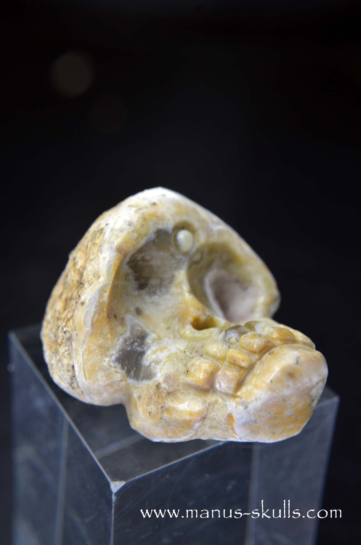 Manus skulls unique Crystal Carvings handmade skulls dragons pendants preseli bluestone tribals spiritual meaning wand Unicorn .. TNT bed   Lithophyse   Thunderegg