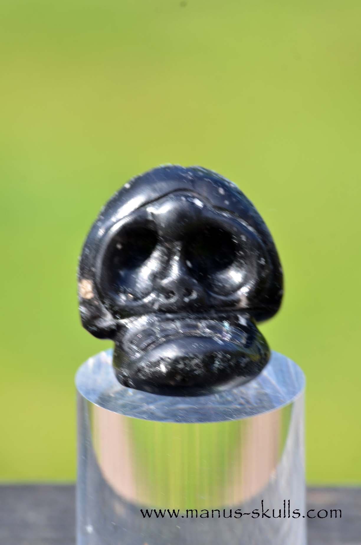 Agni Manitite Manus Skull Evolian
