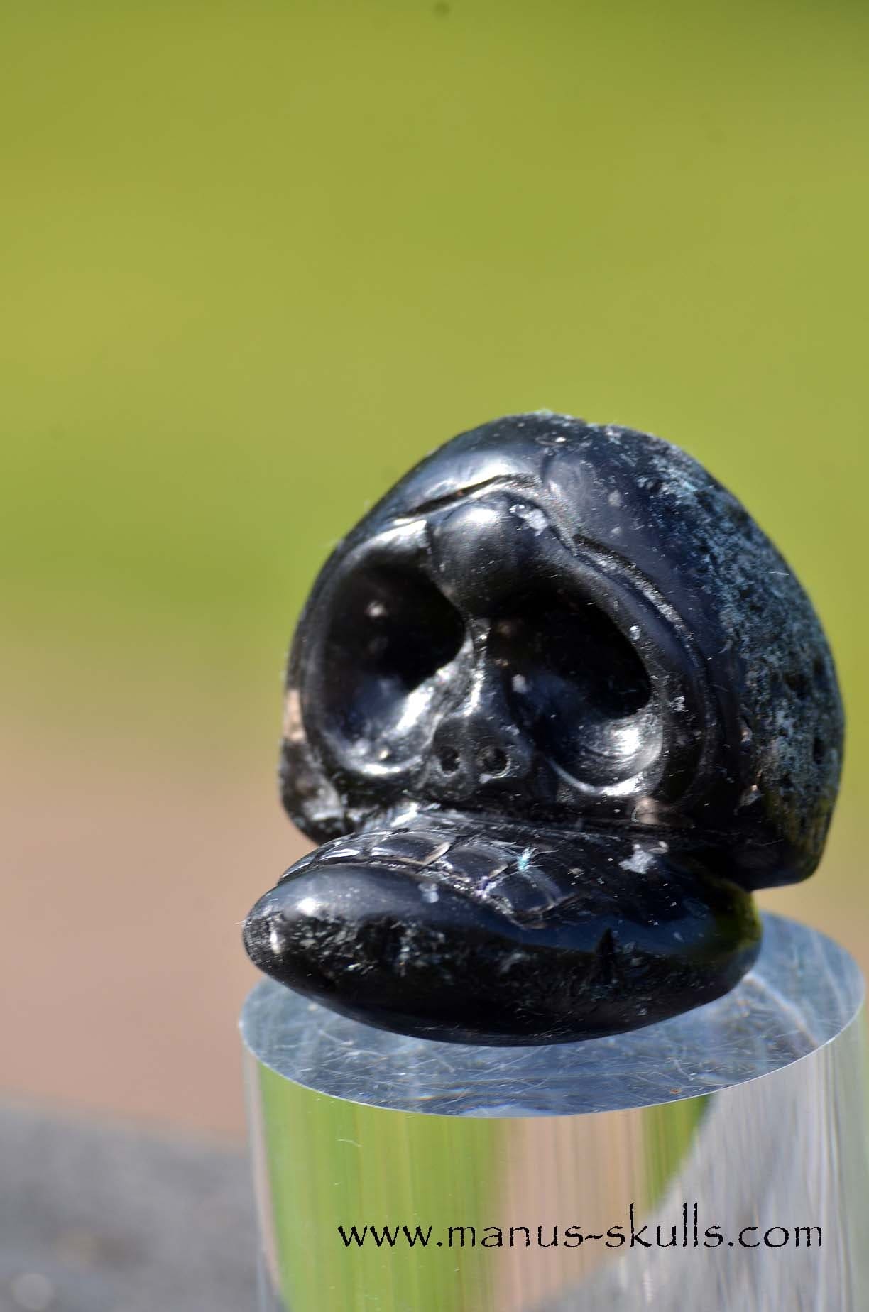 Agni Manitite Manus Skull Evolian