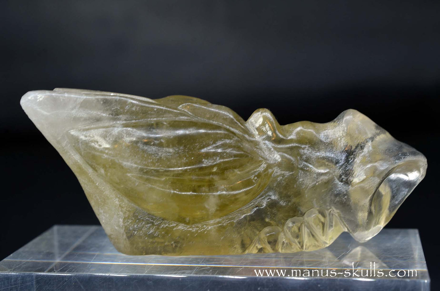 Citrine Dragon
