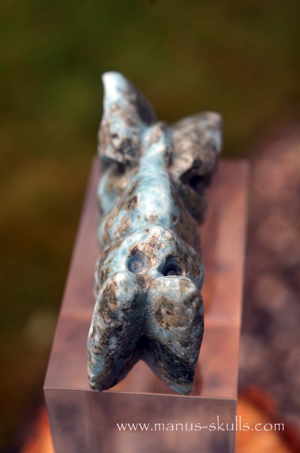 Larimar Dragon