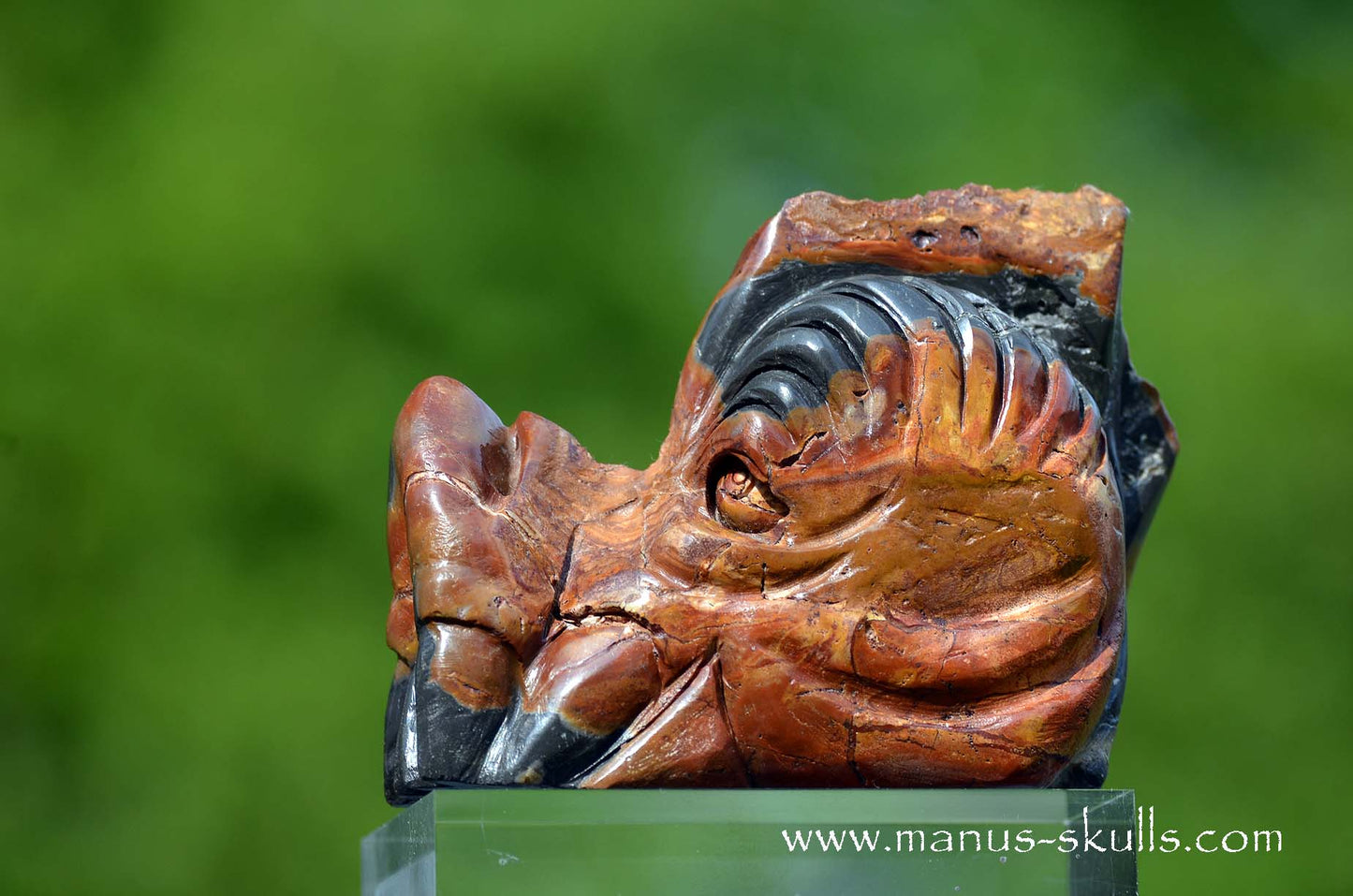 Rainbow Jasper Dragon