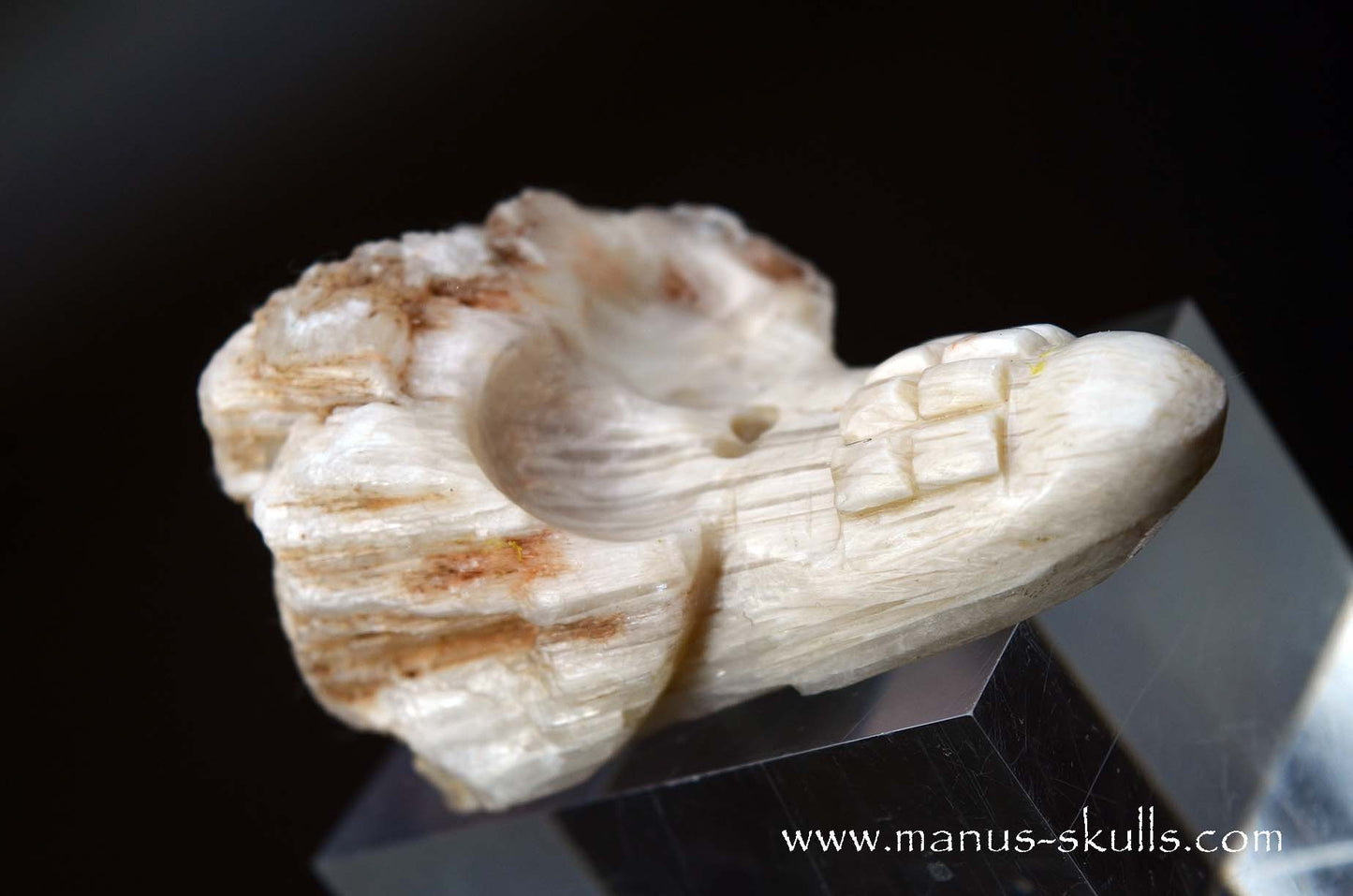 Scolecite Evolian Skull #07