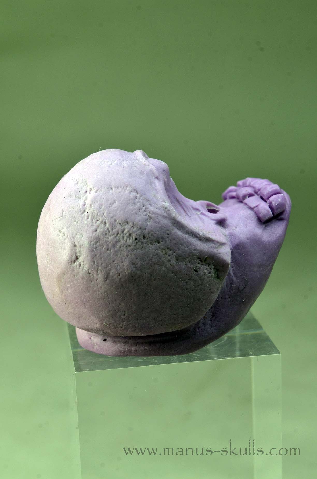 Phosphosiderite Evolian Skull #08