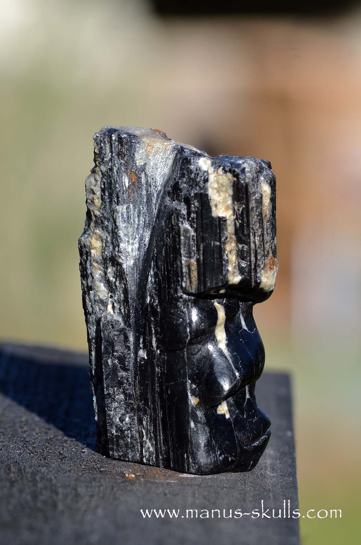 Hairless Black Tourmaline Tribal Skull