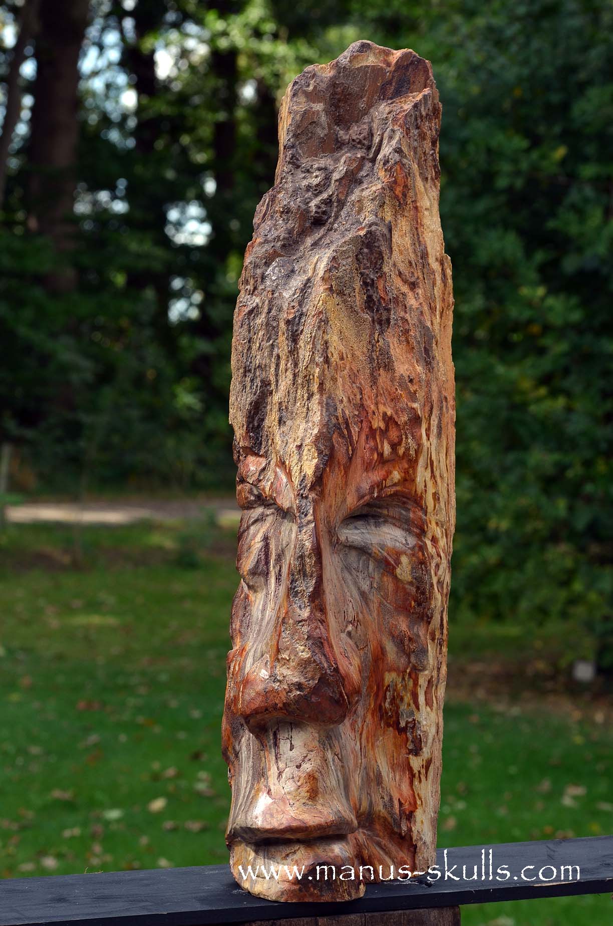Petrified Wood Tribal Skull #67