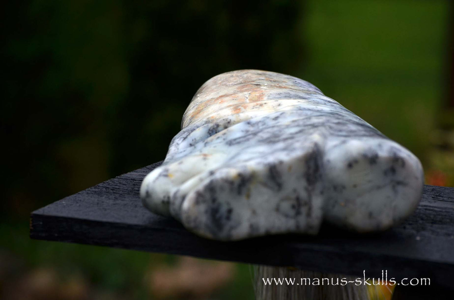 Dendrite Agate Tribal Skull #009
