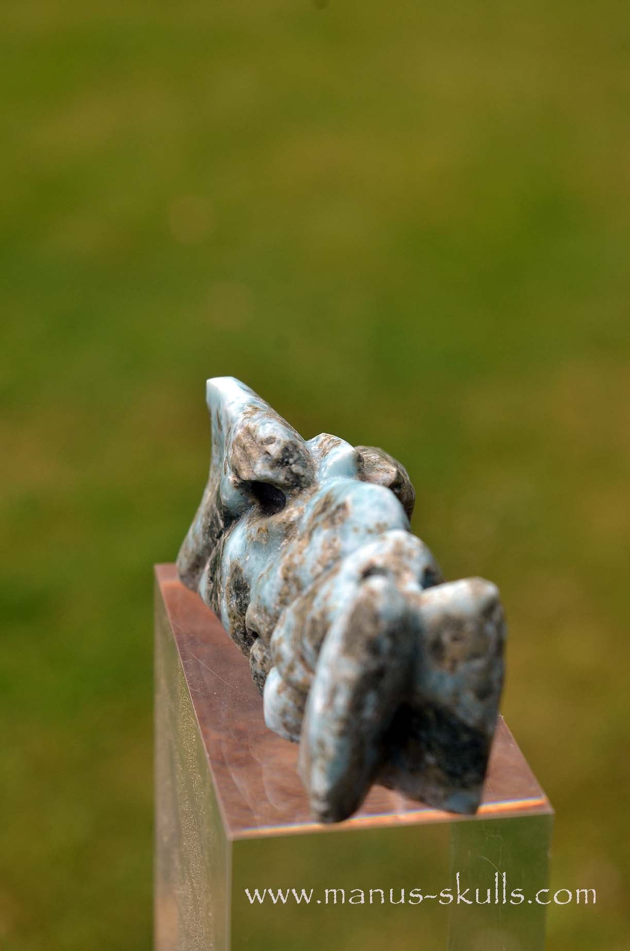 Manus skulls unique Crystal Carvings handmade skulls dragons pendants preseli bluestone tribals spiritual meaning wand Unicorn ..