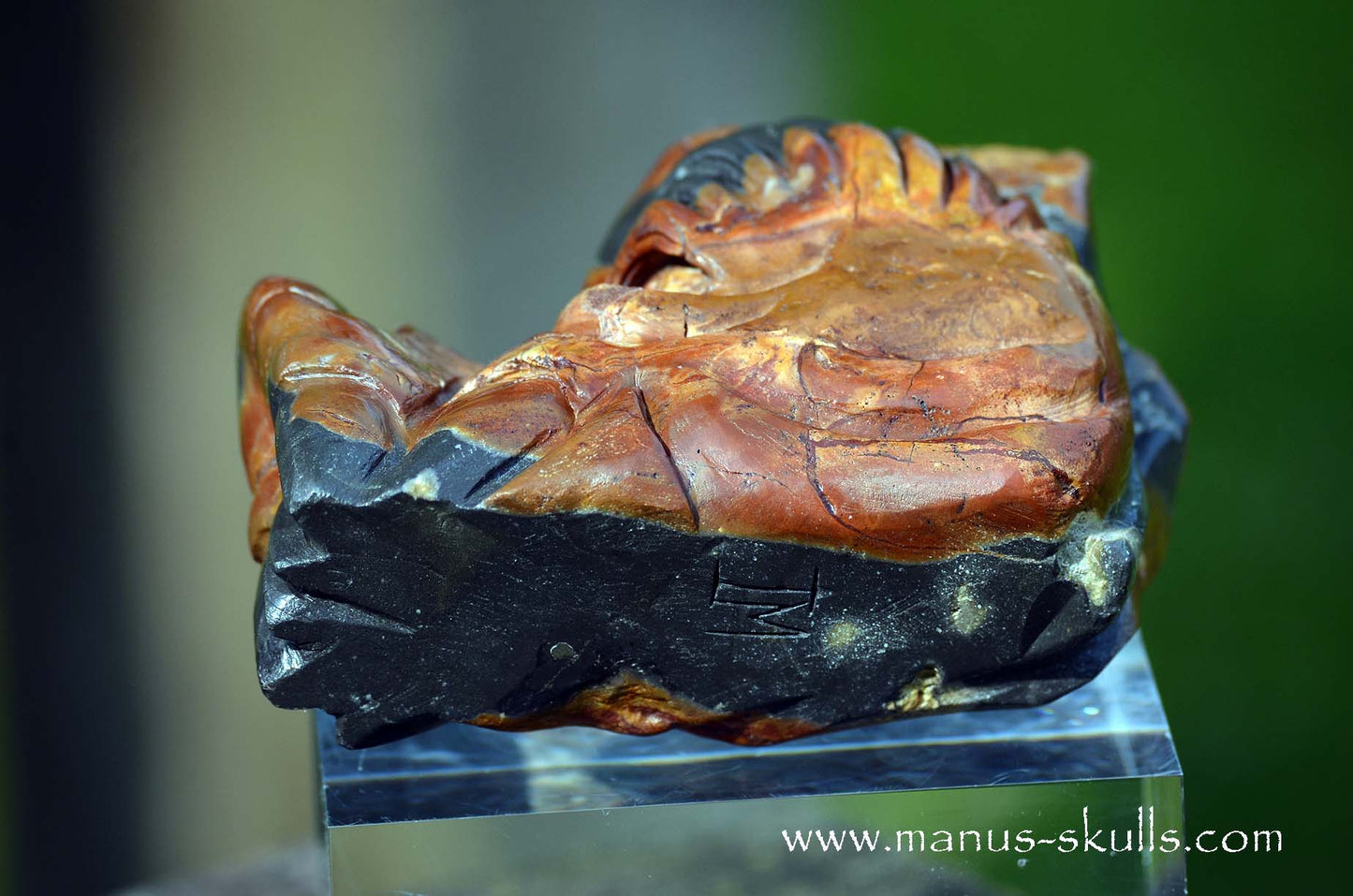 Rainbow Jasper Dragon