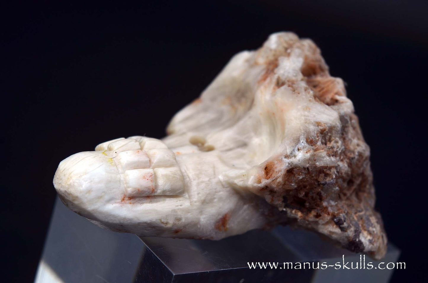 Scolecite Evolian Skull #07