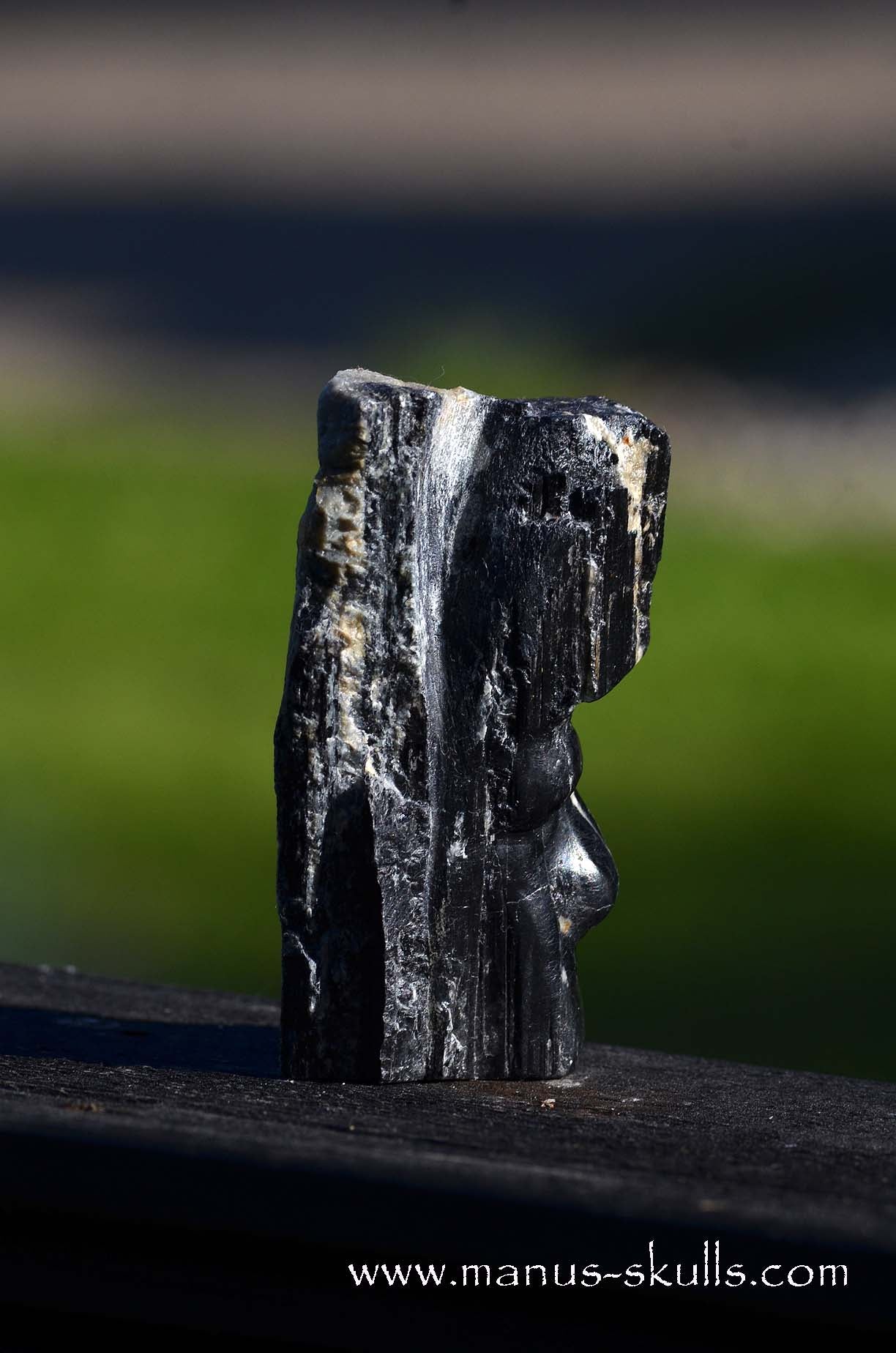 Hairless Black Tourmaline Tribal Skull