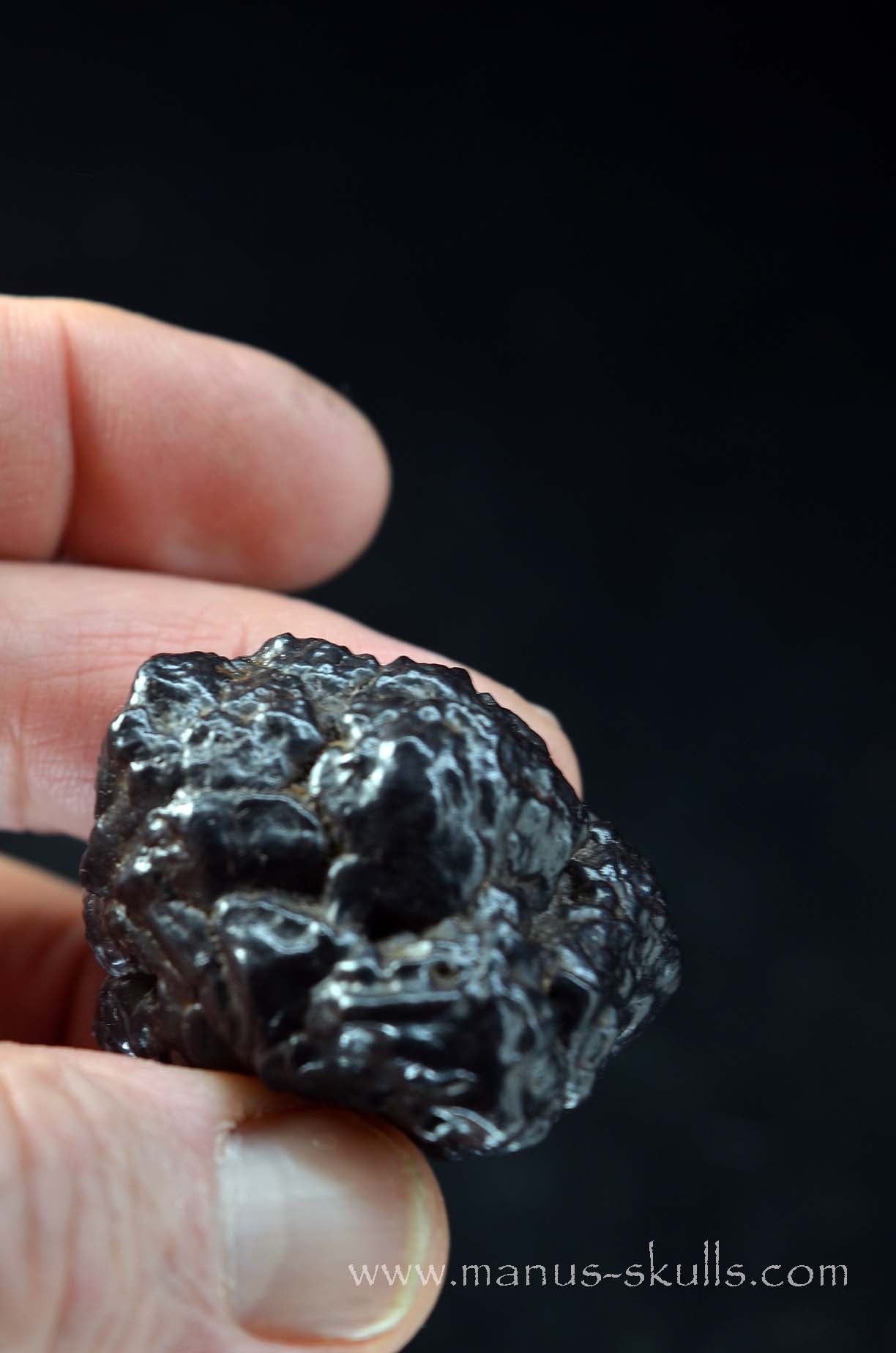 Prophecy Stone Evolian #02