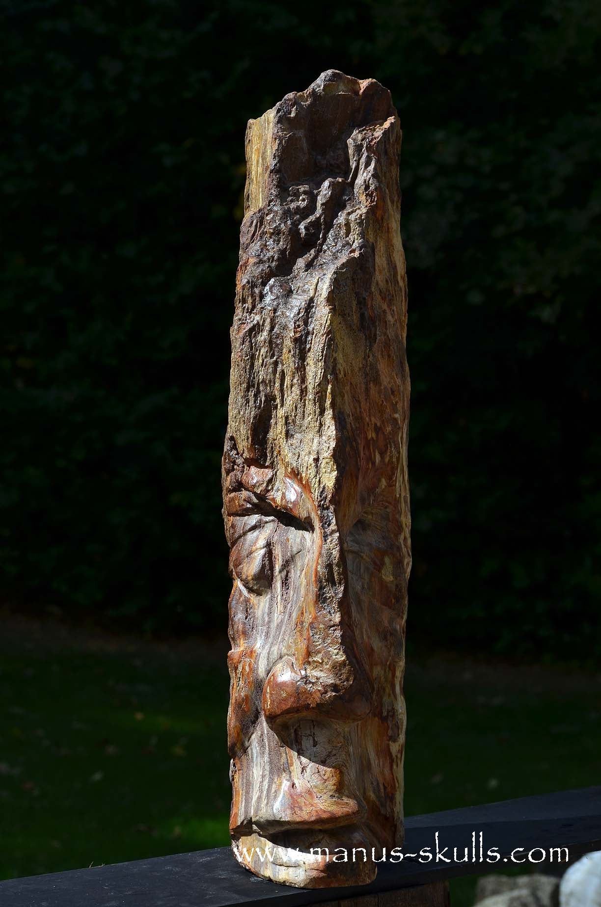 Petrified Wood Tribal Skull #67
