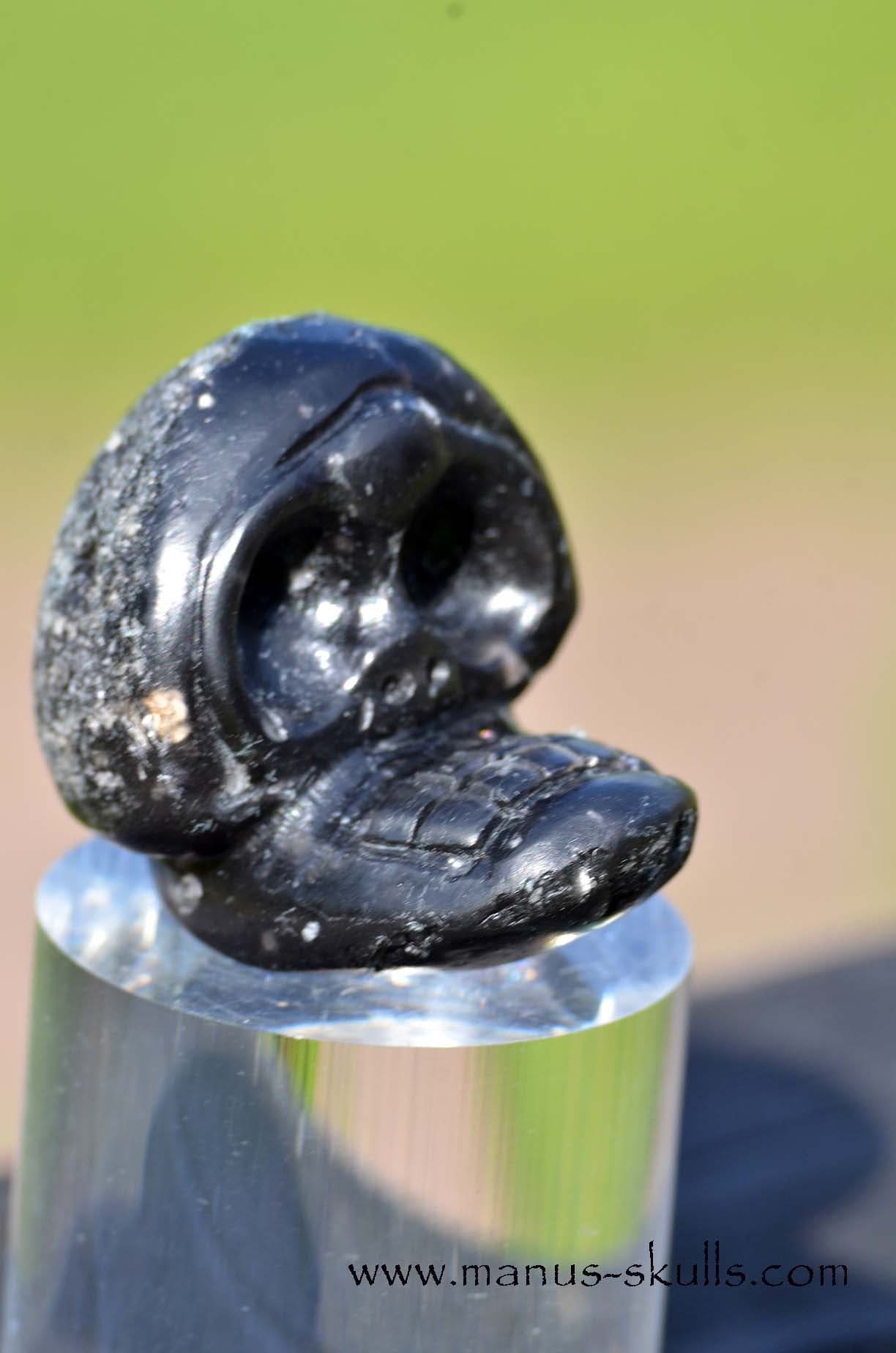 Agni Manitite Manus Skull Evolian