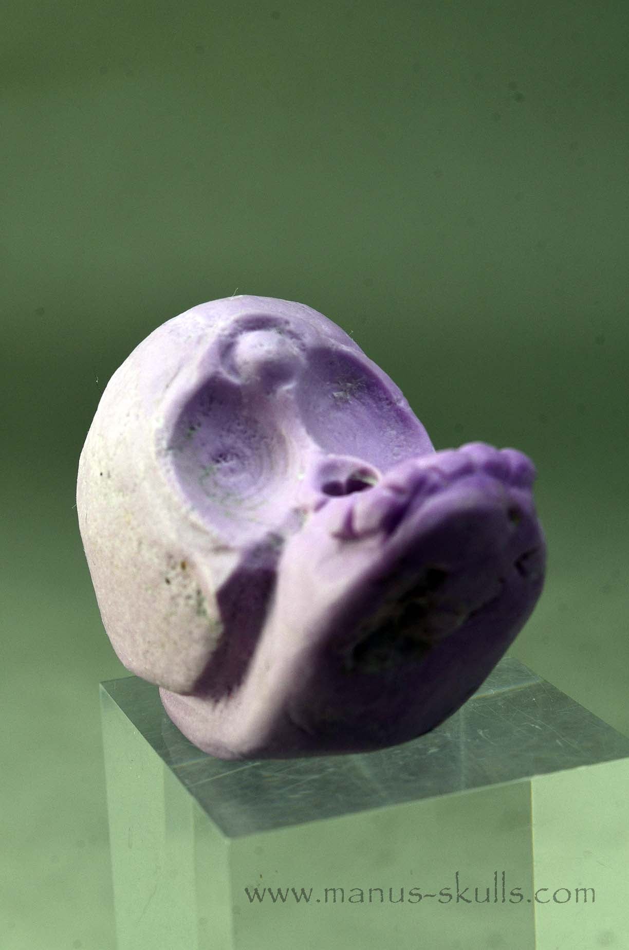Phosphosiderite Evolian Skull #08