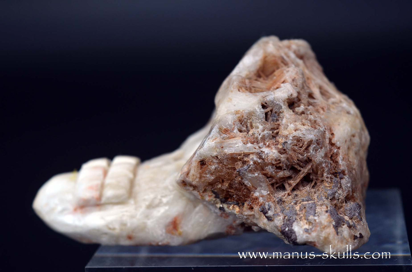 Scolecite Evolian Skull #07