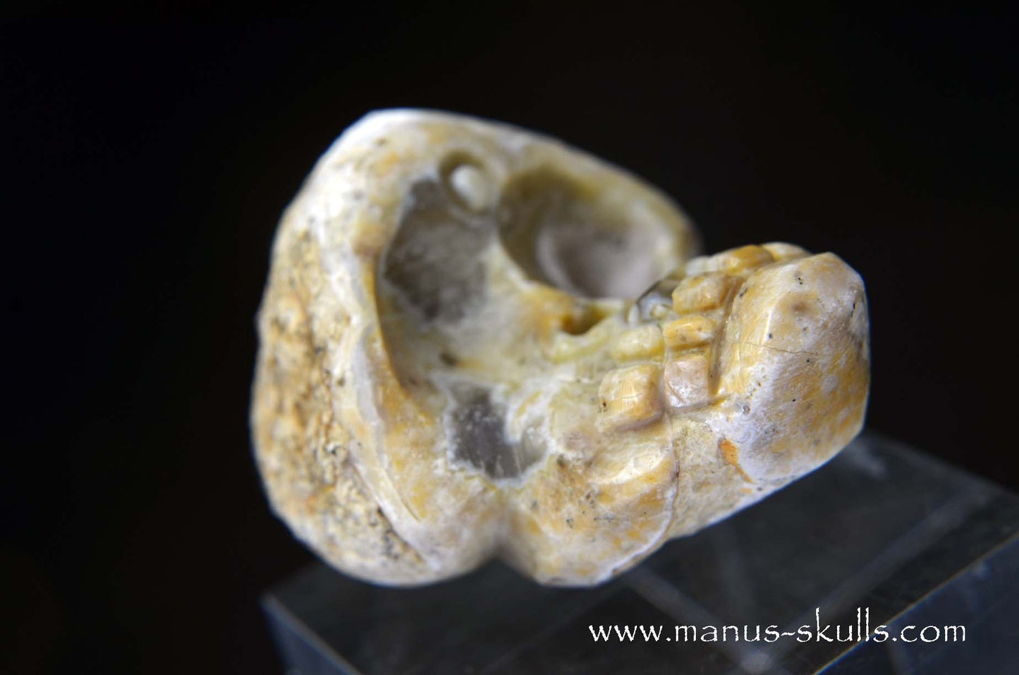 TNT-bed Thunderegg Evolian #07