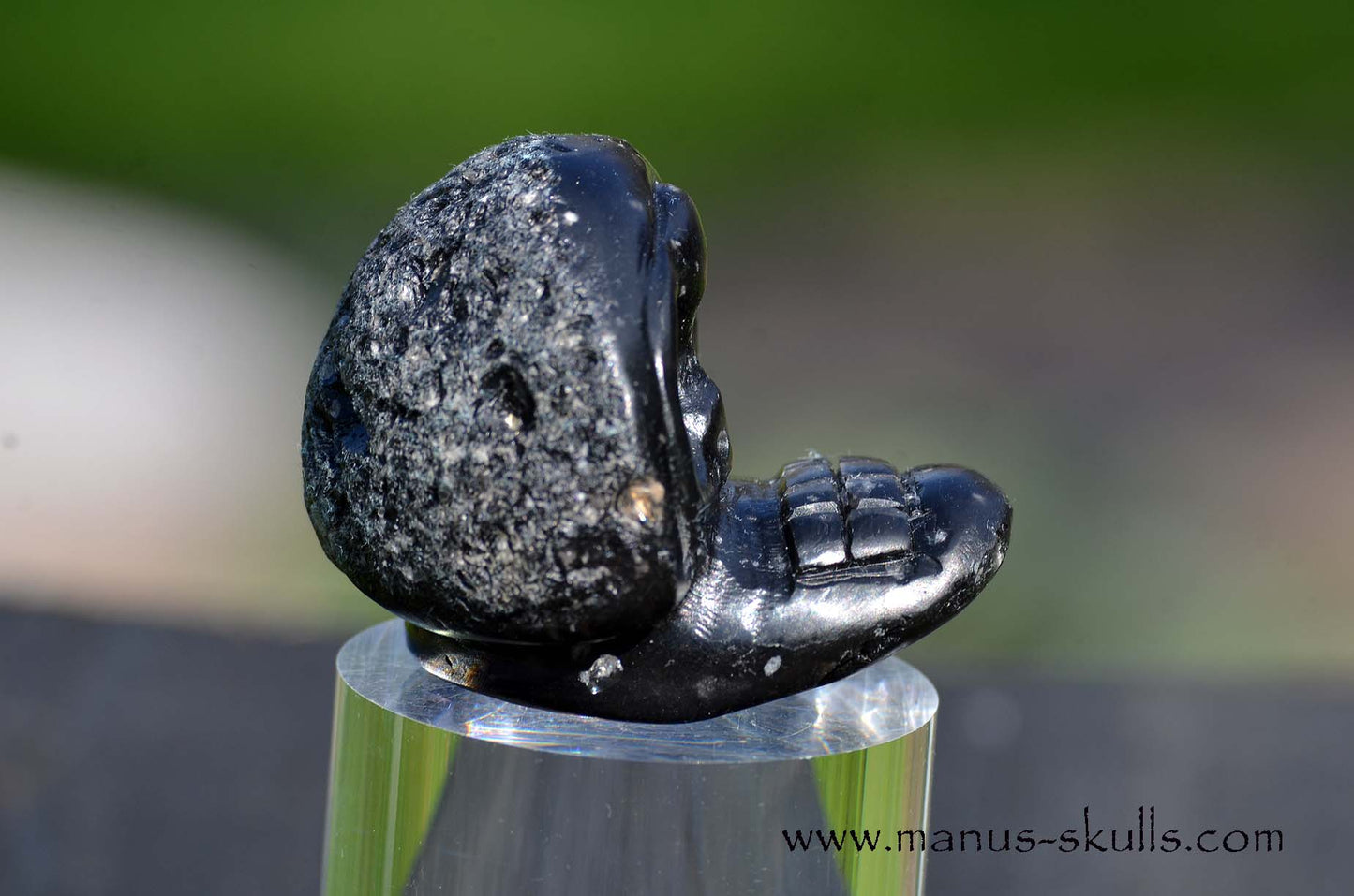 Agni Manitite Evolian #08