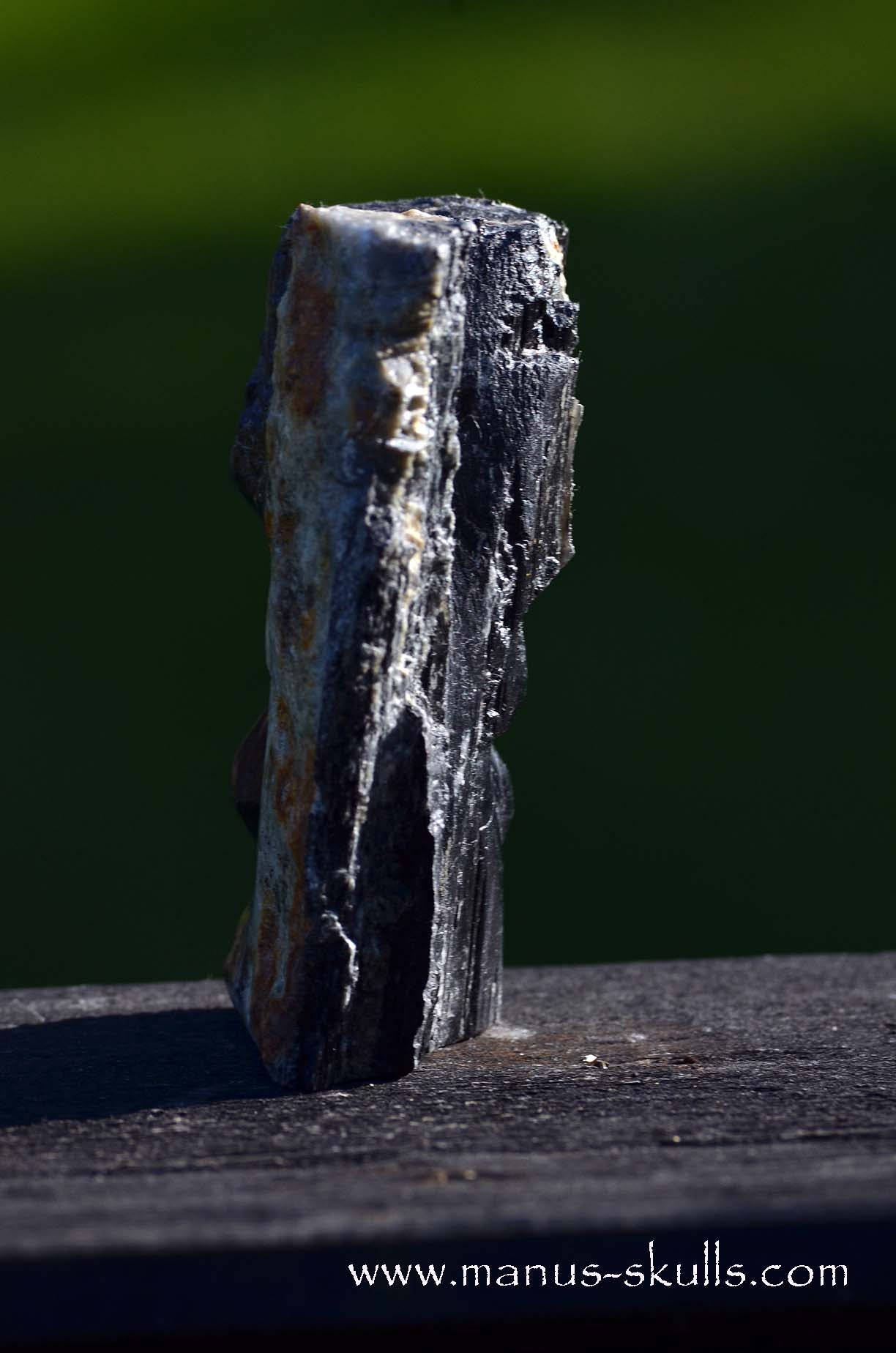 Hairless Black Tourmaline Tribal Skull