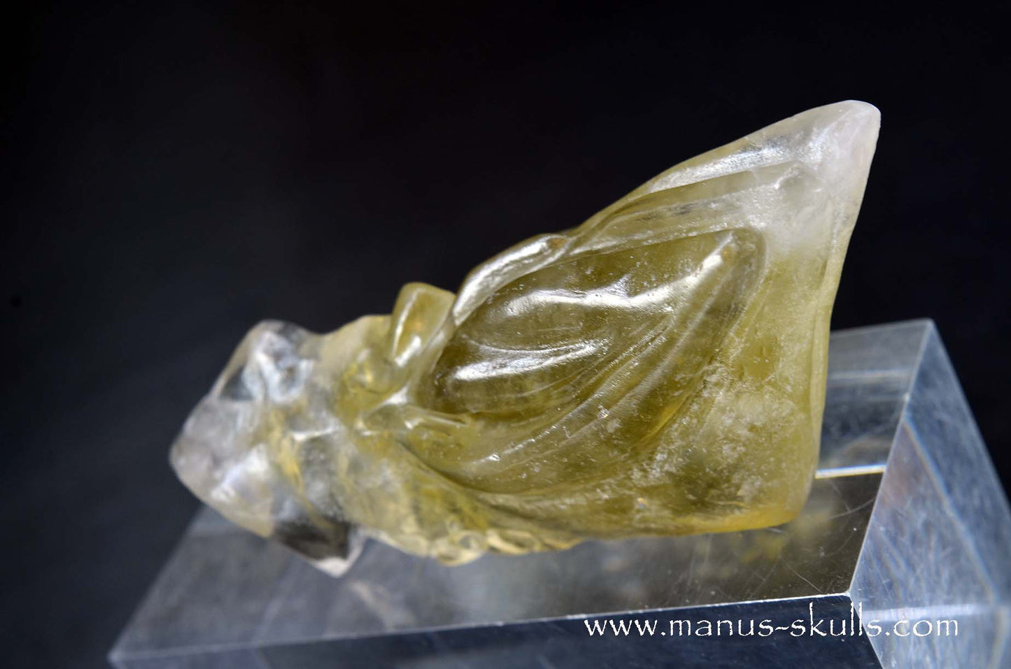 Citrine Dragon